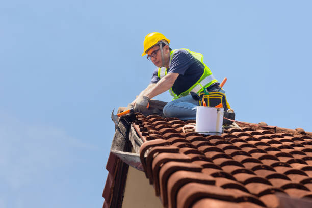 Best Asphalt Shingle Roofing  in Chester, NY